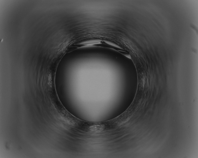 X0000092310700200710051238