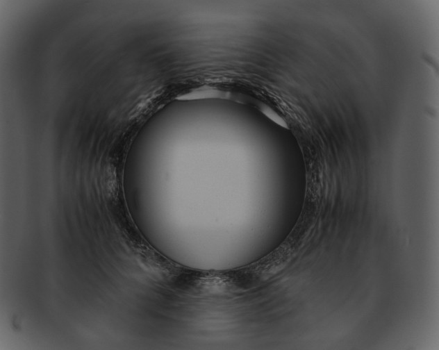 X0000092310704200710051238