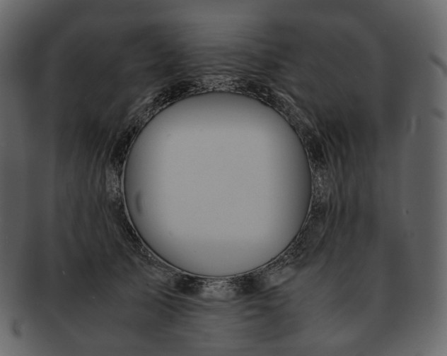 X0000092310705200710051238