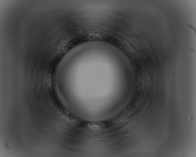 X0000092310706200710051238