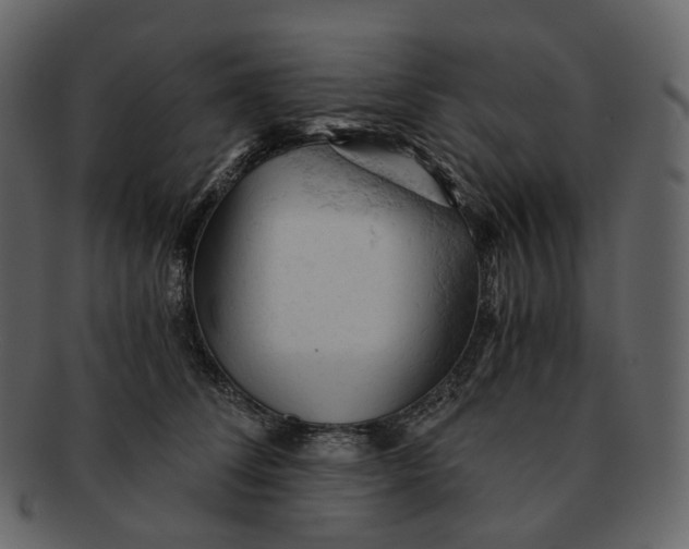 X0000092310708200710051238