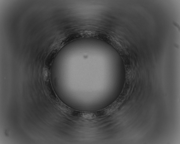 X0000092310709200710051238
