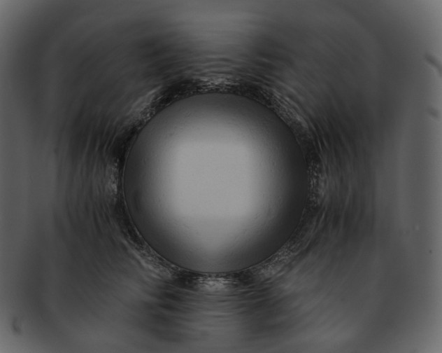X0000092310710200710051238