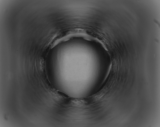 X0000092310712200710051238