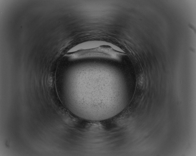 X0000092310715200710051238