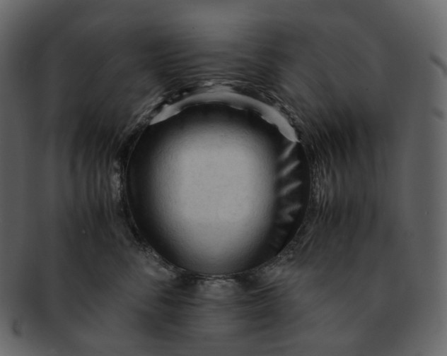 X0000092310716200710051238
