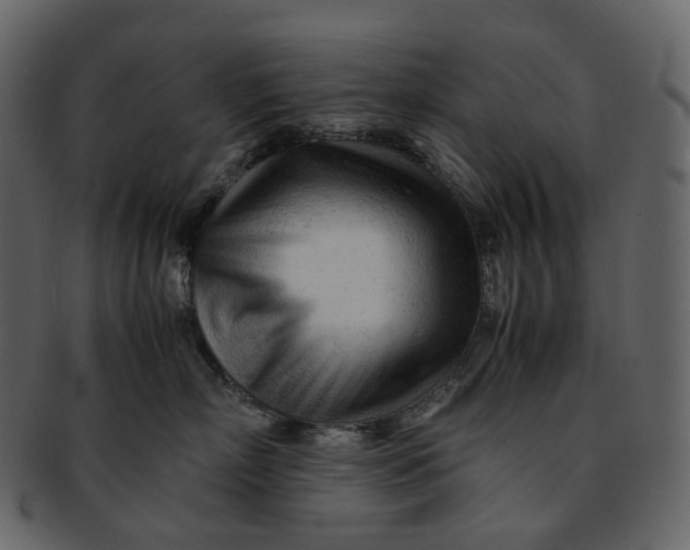 X0000092310718200710051238