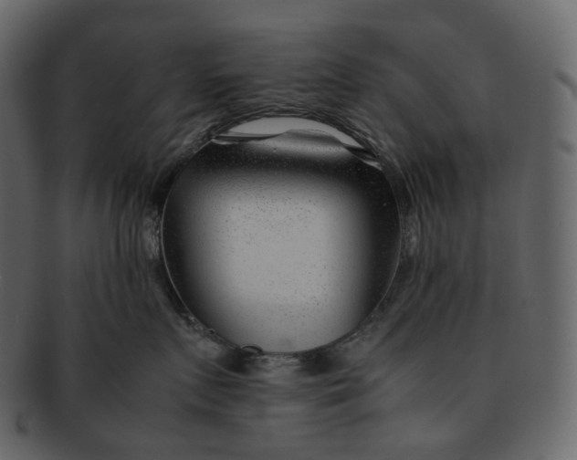 X0000092310719200710051238