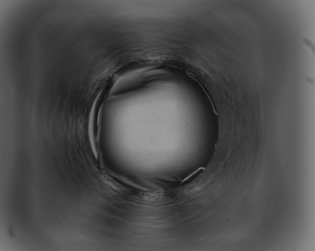 X0000092310720200710051238