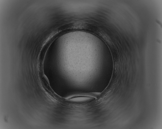 X0000092310722200710051238