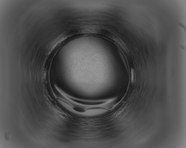 X0000092310723200710051238