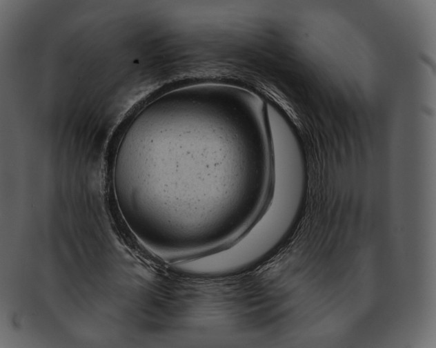 X0000092310724200710051238