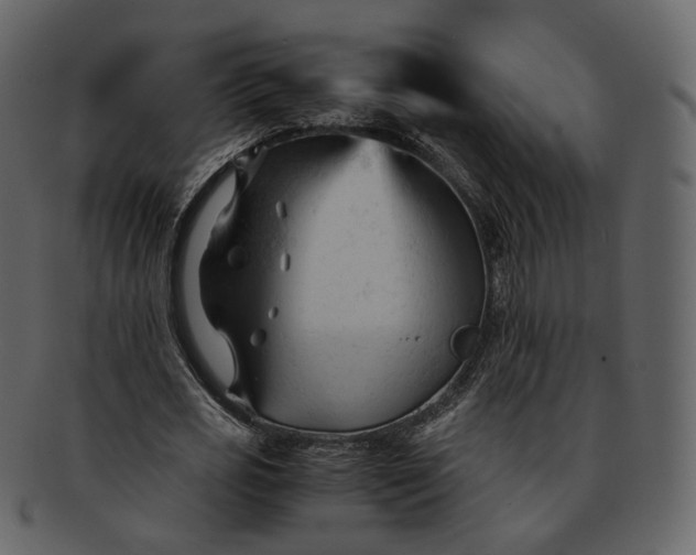 X0000092310725200710051238