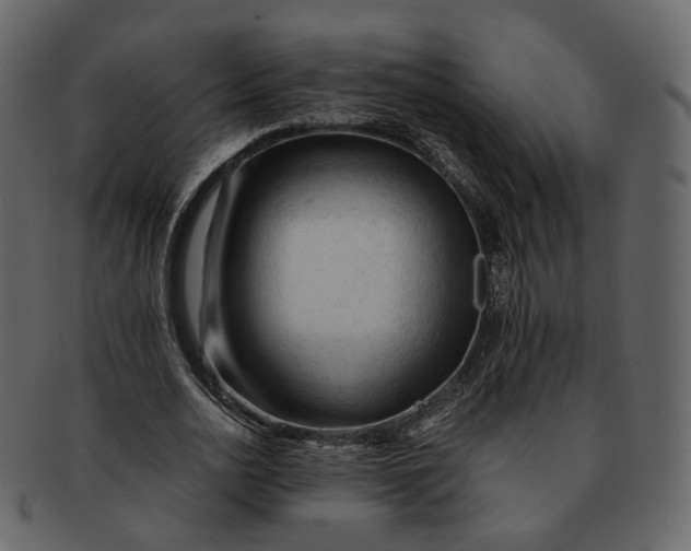 X0000092310726200710051238