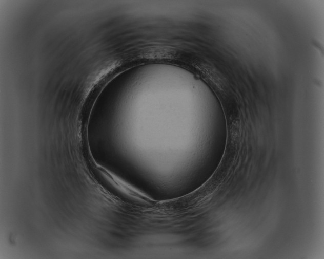 X0000092310727200710051238