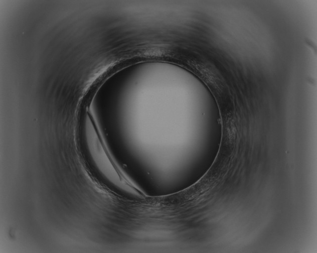 X0000092310728200710051238