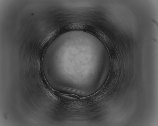 X0000092310729200710051238