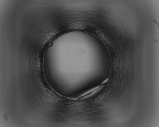 X0000092310731200710051238