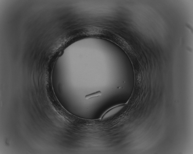 X0000092310732200710051238
