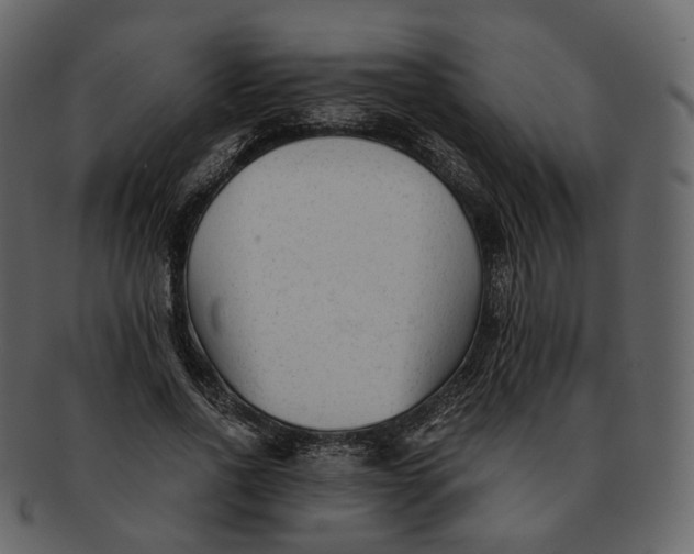 X0000092310734200710051238