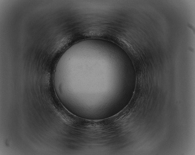 X0000092310735200710051238