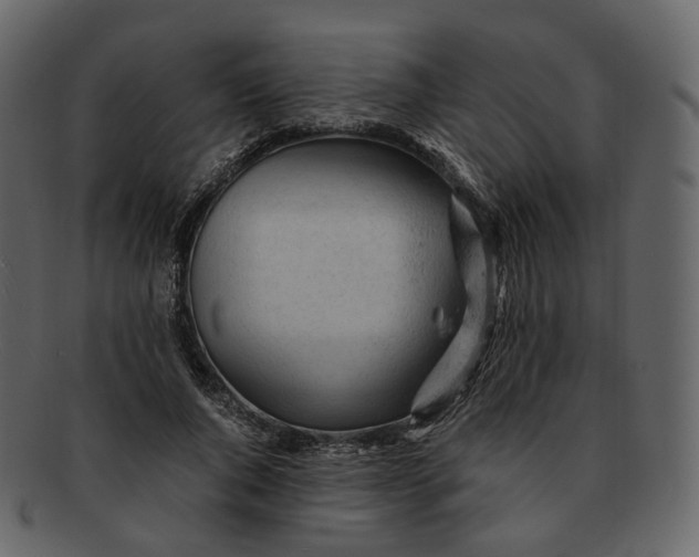 X0000092310736200710051238
