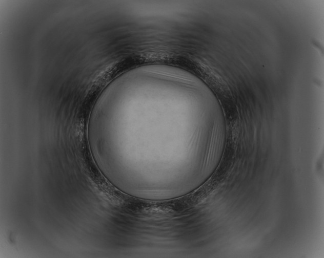 X0000092310737200710051238
