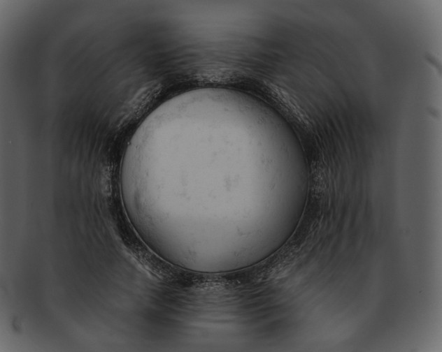 X0000092310738200710051238