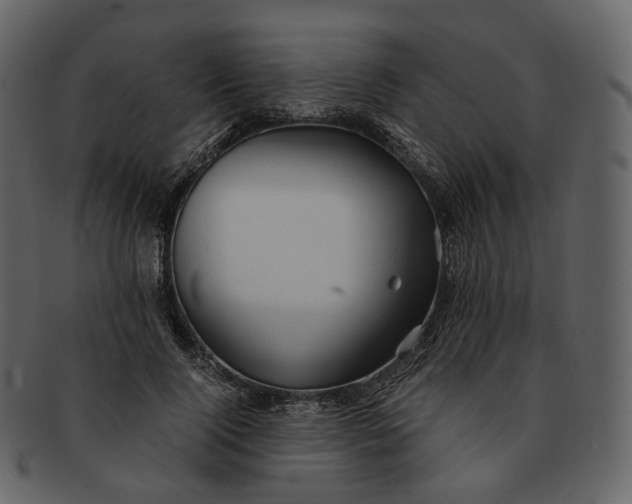 X0000092310740200710051238