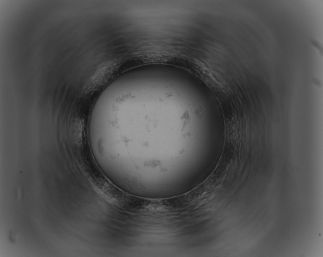 X0000092310742200710051238