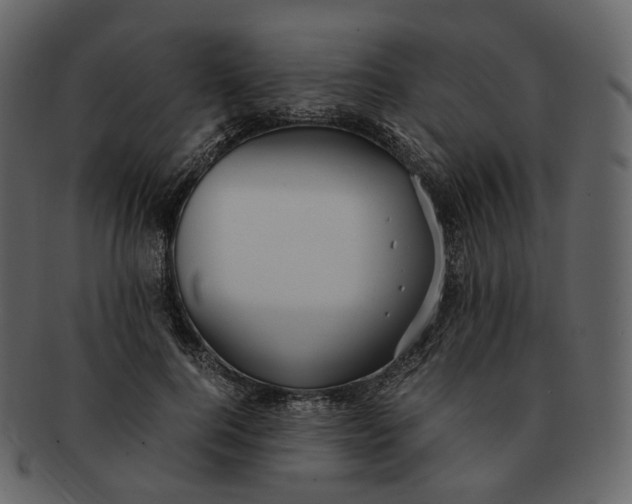 X0000092310744200710051238