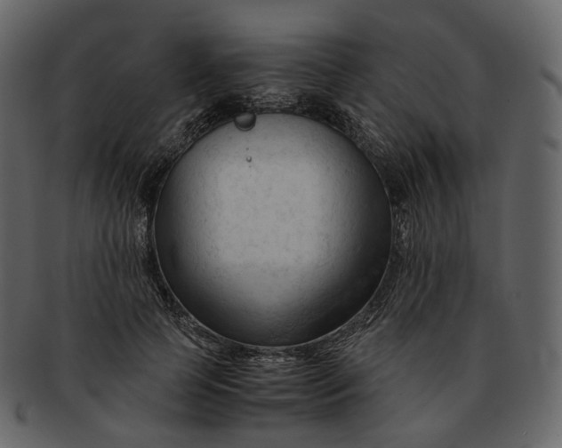 X0000092310745200710051238