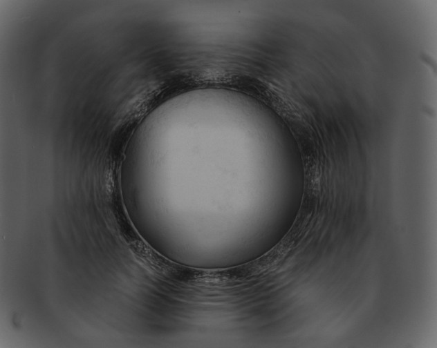 X0000092310746200710051238