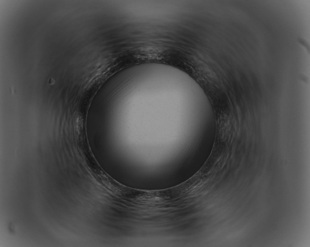 X0000092310747200710051238