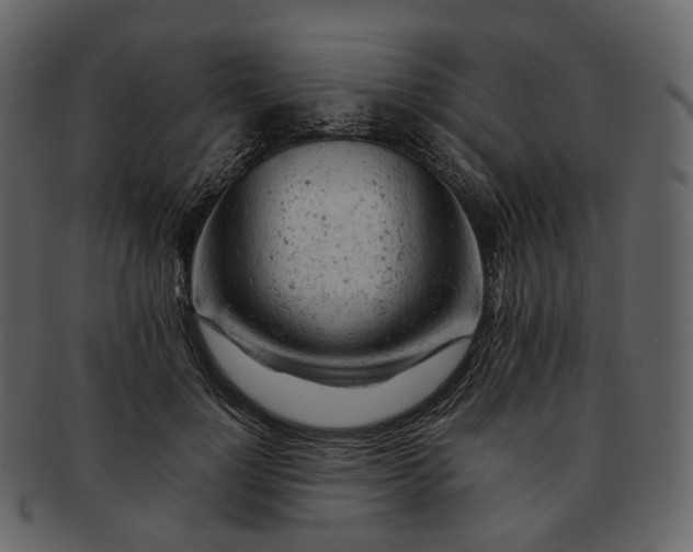 X0000092310748200710051238