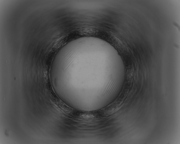 X0000092310749200710051238
