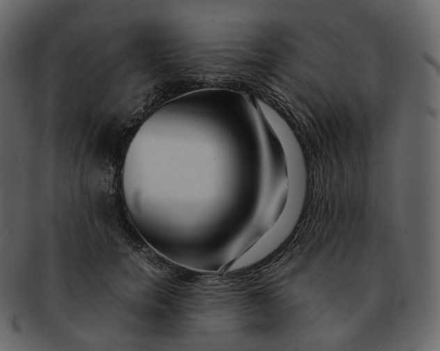 X0000092310750200710051238