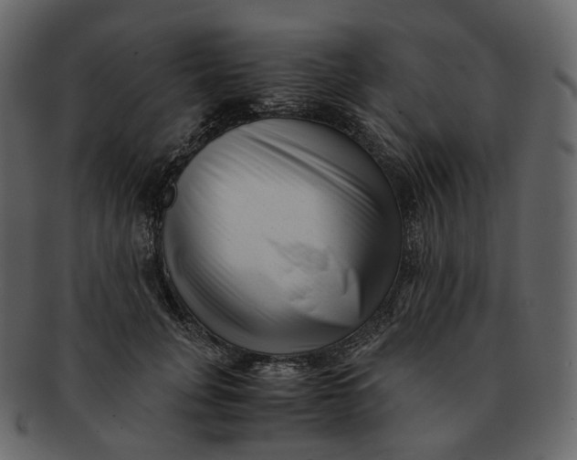 X0000092310751200710051238