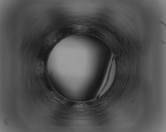 X0000092310752200710051238