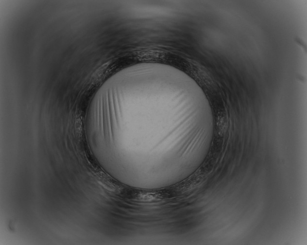 X0000092310753200710051238