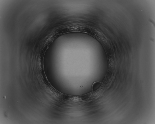 X0000092310754200710051238