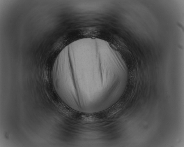 X0000092310755200710051238