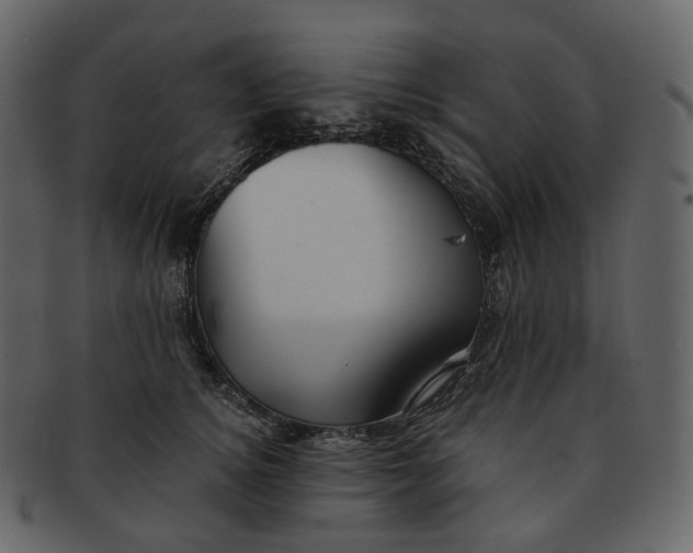 X0000092310756200710051238
