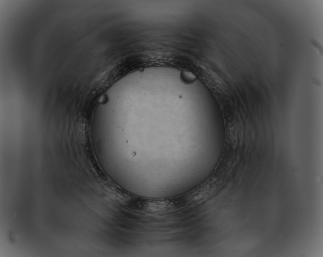 X0000092310757200710051238