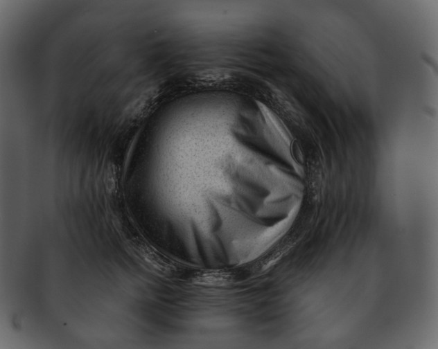 X0000092310758200710051238