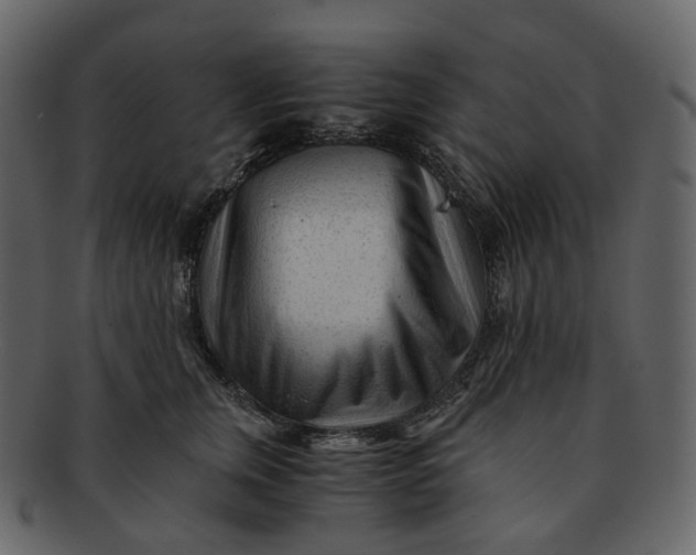 X0000092310759200710051238