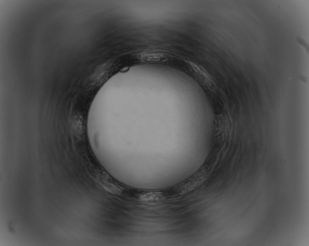X0000092310761200710051238