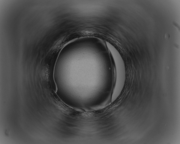 X0000092310762200710051238