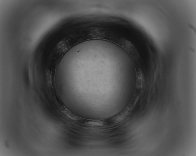 X0000092310765200710051238