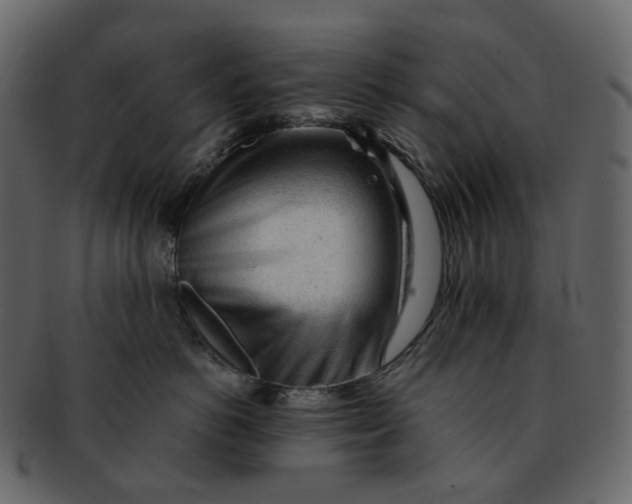X0000092310766200710051238